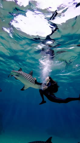 woman swimming with sharks in clear blue water