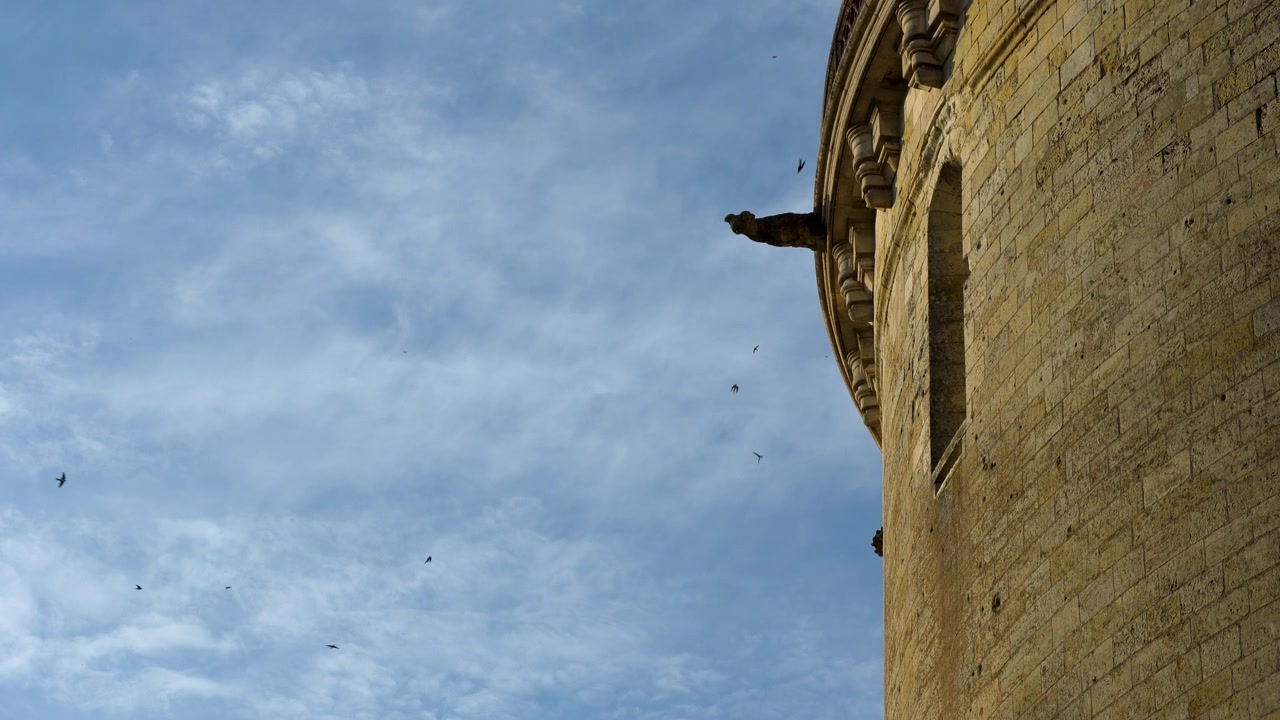 Video al rallentatore di uccelli che volano intorno alla torre esterna in pietra del Castello Reale di Amboise durante l'ora d'oro nella Valle della Loira, Francia.
