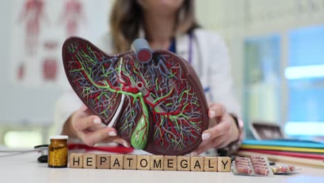 medical professional demonstrating a liver model with 'hepatomegaly' displayed