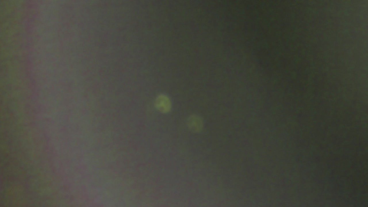 Luce Bokeh Astratta Verde e Gialla in Dissolvenza su Sfondo Scuro