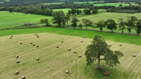 Tiempo-De-Cosecha-De-Fardos-En-Un-Campo-Listo-Para-Ser-Almacenado-En-Septiembre-En-Irlanda