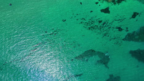 Scenic-Turquoise-Sea-Water---Aerial-Top-Down