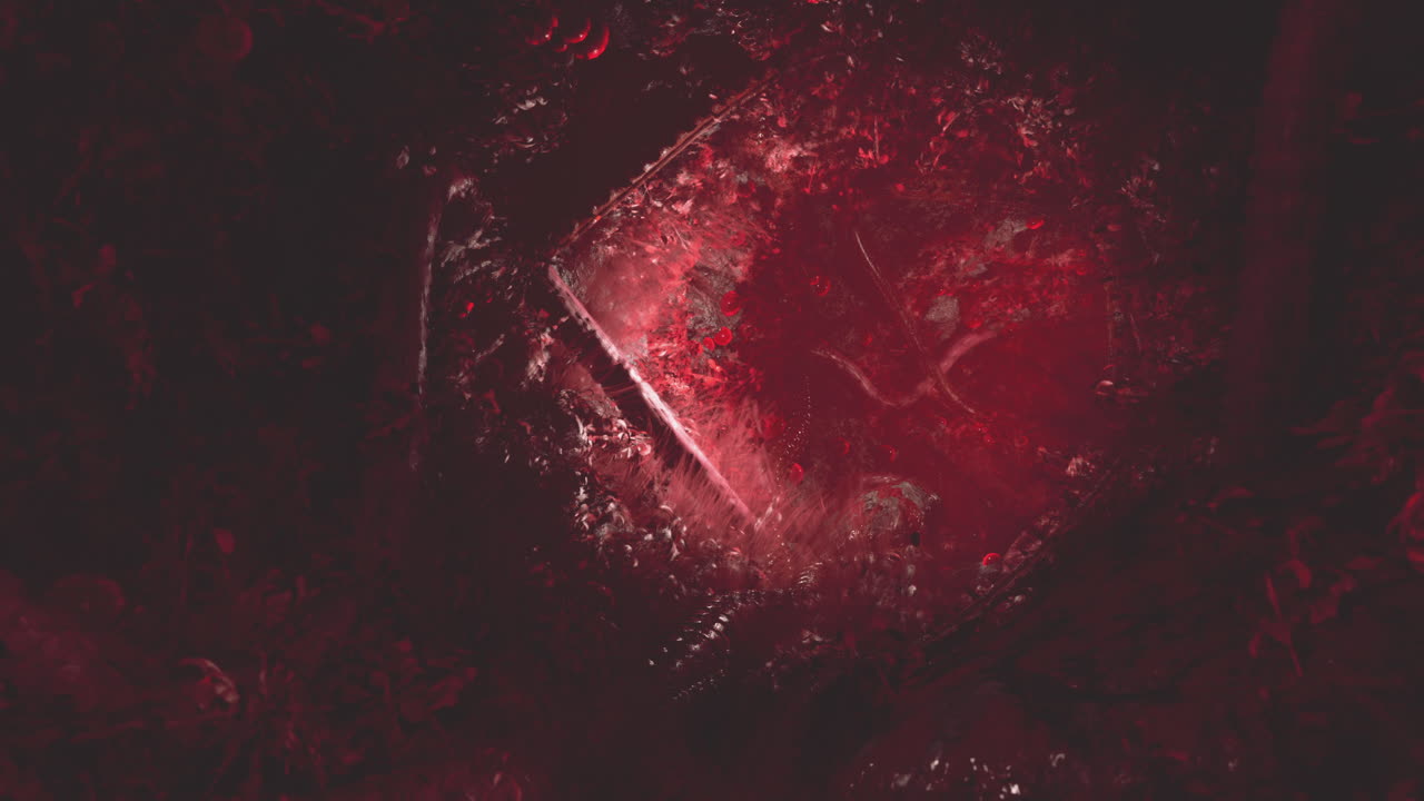 fotografía macro de cubo de hielo rojo