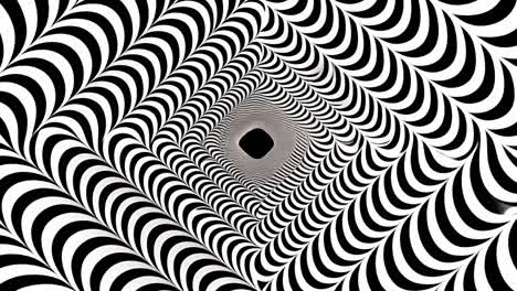hypnotic black and white optical illusion