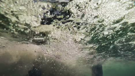 surfer swimming in sea