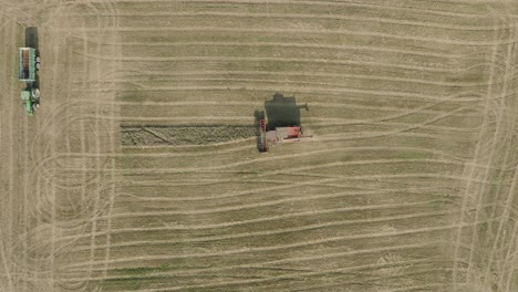 Aerial-establishing-view-of-combine-harvester-mowing-yellow-wheat,-dust-clouds-rise-behind-the-machine,-food-industry,-yellow-reap-grain-crops,-sunny-summer-day,-descending-birdseye-drone-shot