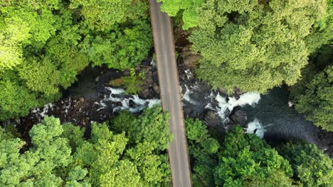 drone approaching a bridge in jungle tropical nature