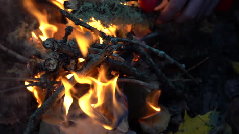 CloseUp-of-a-Man-Building-a-Campfire-at-Night