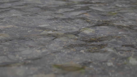 Agua-Del-Lago-Que-Fluye-Pacíficamente