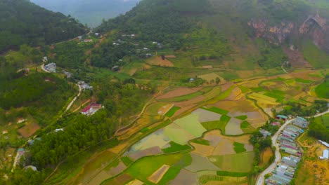 rice terraces surrounding the town of dong van on the dong van karst plateau geopark