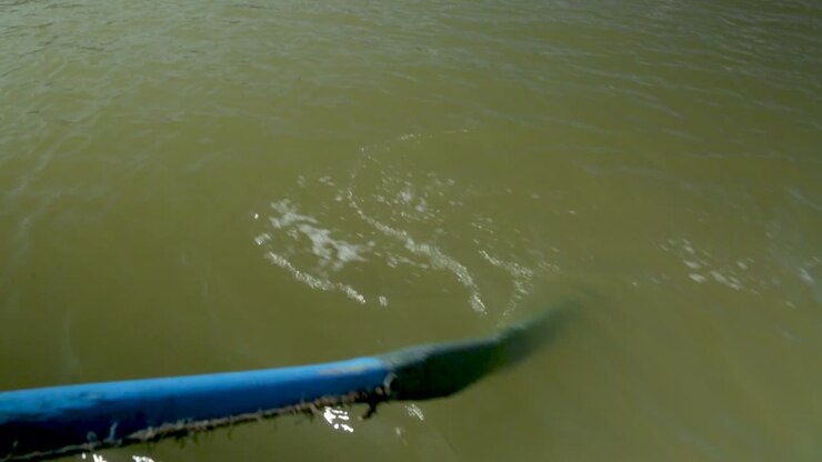 rowing in the river of bouregrag in Rabat