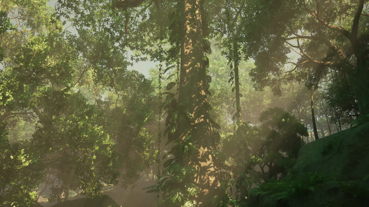 dentro de una selva cubierta de musgo verde brillante