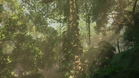 inside a rainforest covered in bright green moss