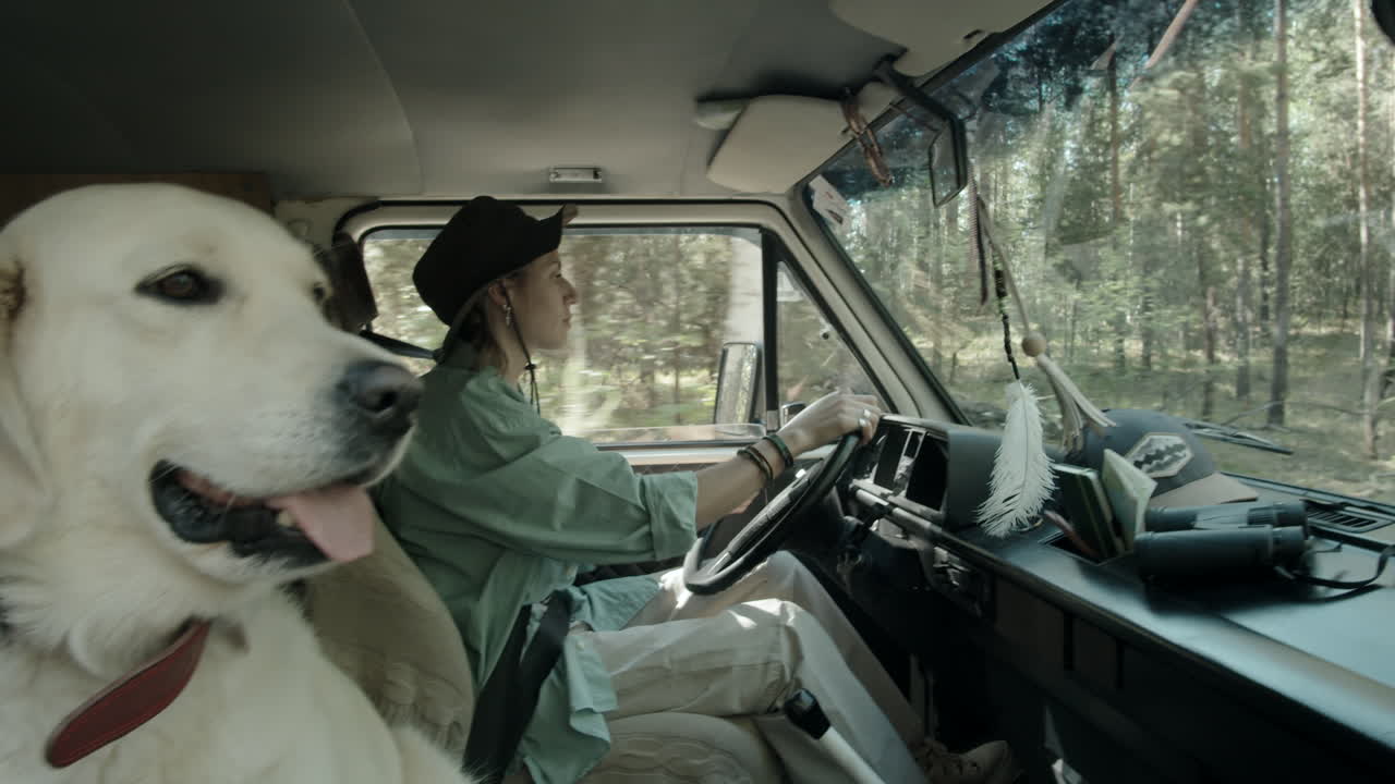 perro golden retriever viajando con una mujer en el coche