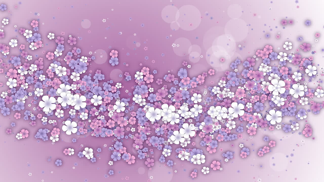 Floral design. Floating colored spring flowers on pink background. Looped holiday animation.