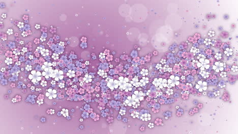 floral design. floating colored spring flowers on pink background. looped holiday animation.