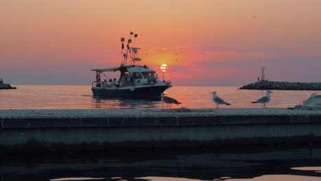 sunset over sea scene with sailing boat and seagulls