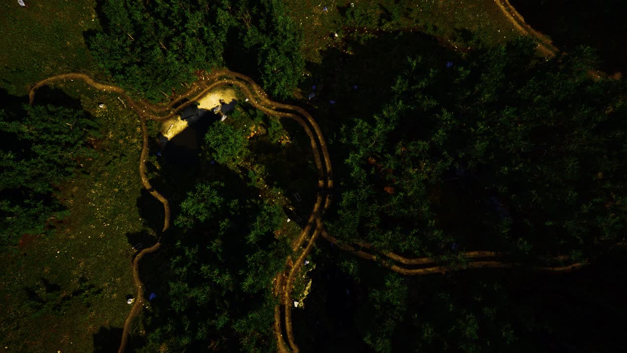 vista aérea de la carretera a través del bosque