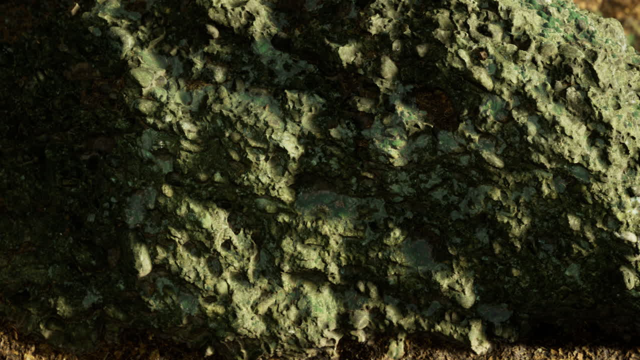 Textured green rock glistens under warm sunlight in a natural setting