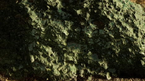 textured green rock glistens under warm sunlight in a natural setting