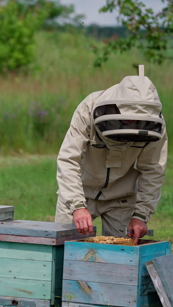 Man in protective beekeeping suit. Beekeeper protection concept. Vertical video