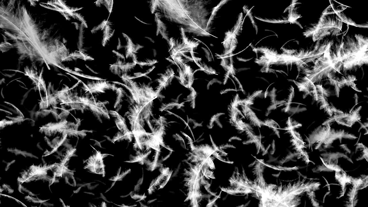 떨어지는 털의 전환