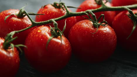 ripe cherry tomatoes with drops on branch