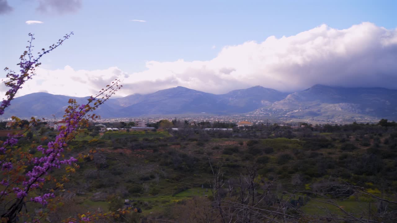 Wide panoramic view of Parnitha mountain covered with clouds, revealed behind Cercis siliquastrum blossom pink flowers 4K