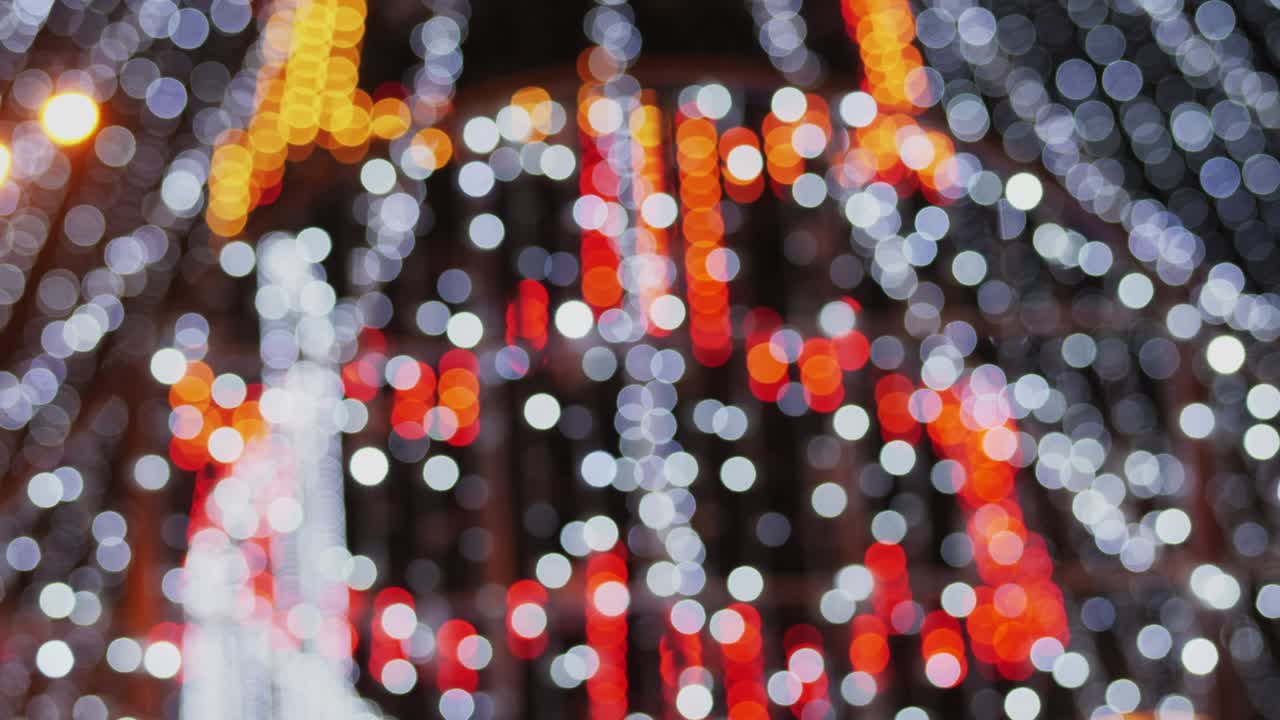 다채로운 불빛으로 푸른 크리스마스 트리