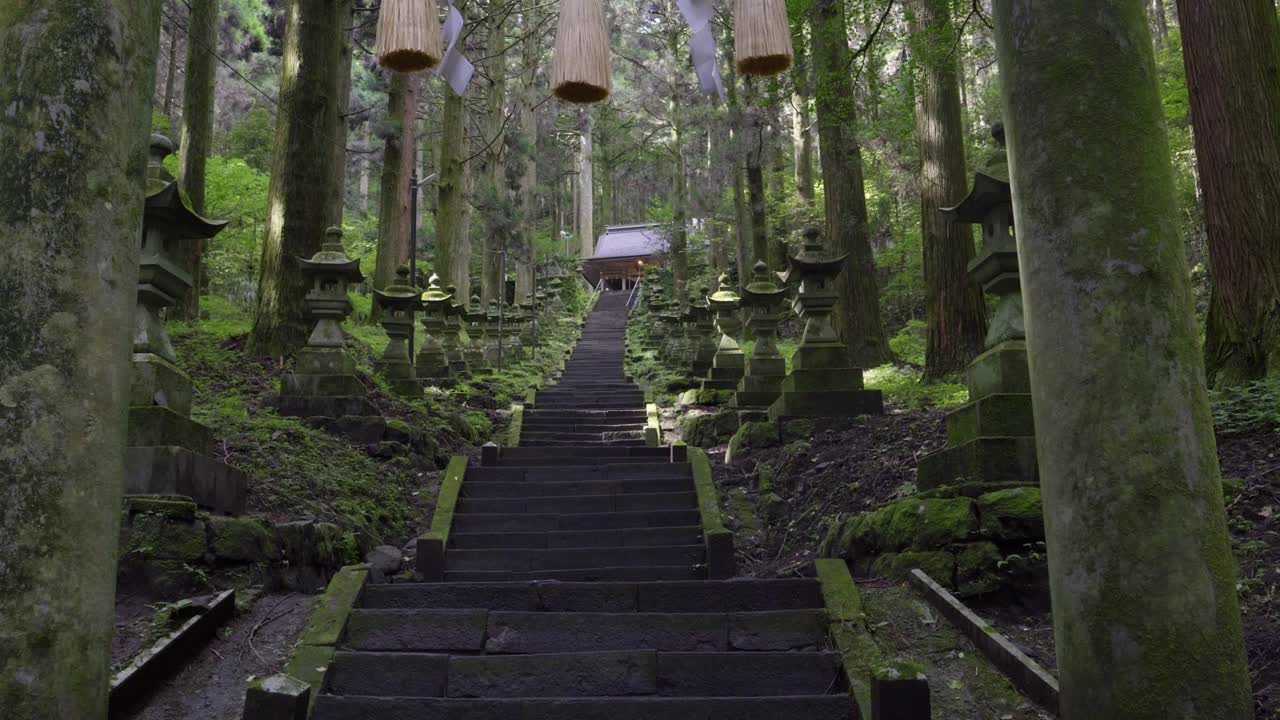 Deep mysterious lush green forest in Japan with shrine stone steps approach