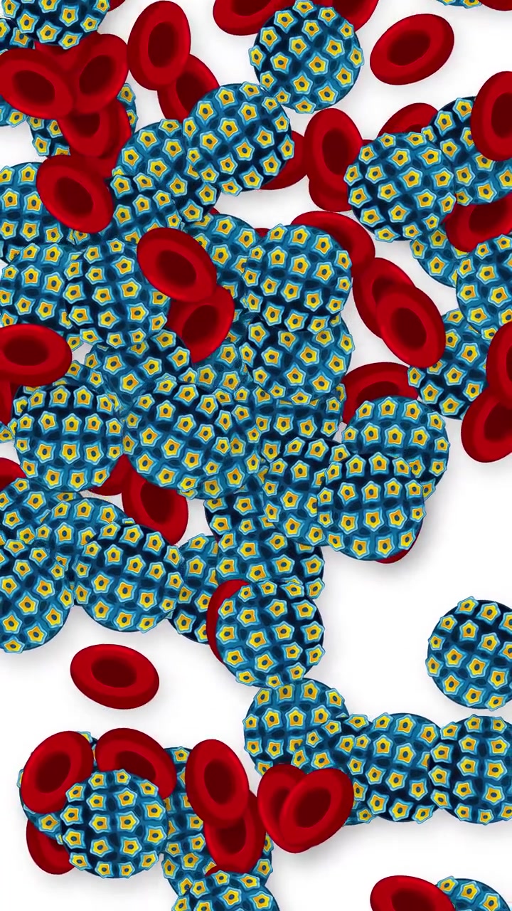 Microscopic animation of red blood cells and patterned virus particles falling against white background.