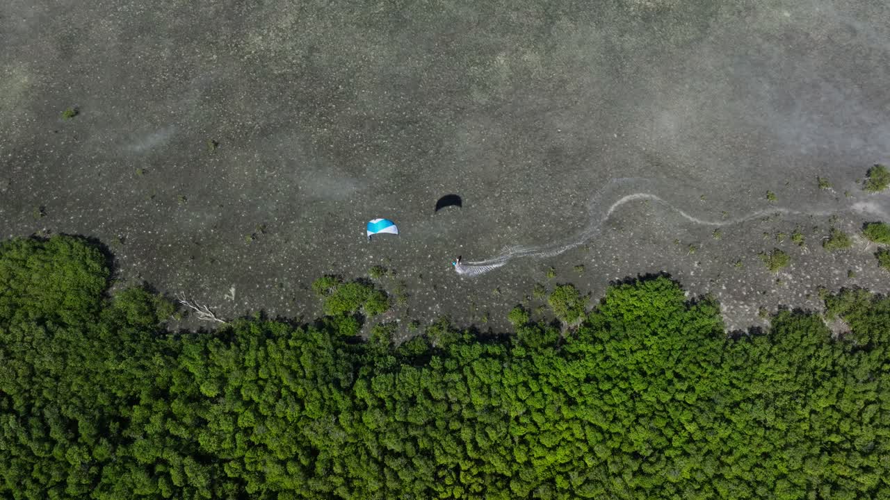 맹그로브 숲 에서 카이트보딩 을 하는 것