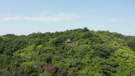 abandoned house in mountains, surrounded by trees and covered in ivy
