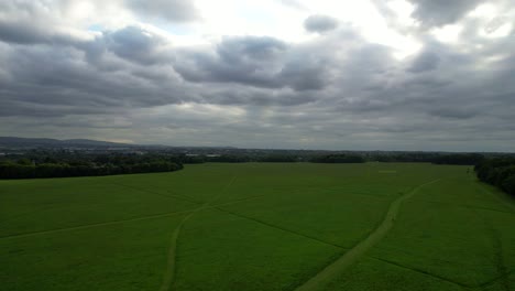 Vast-green-meadow-grass-in-Phoenix-park,-Dublin,-Ireland