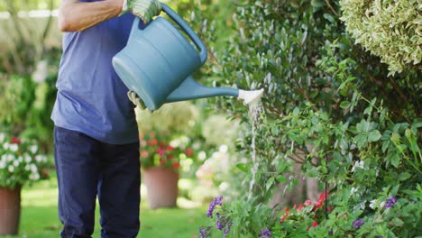 Video-of-focused-biracial-senior-man-watering-plants-in-garden