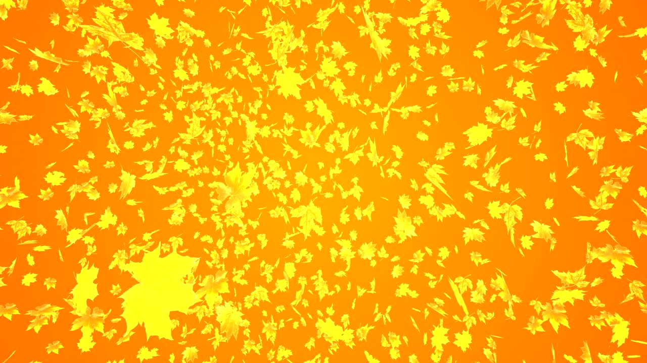 4k Maple Leaves. Golden Autumn