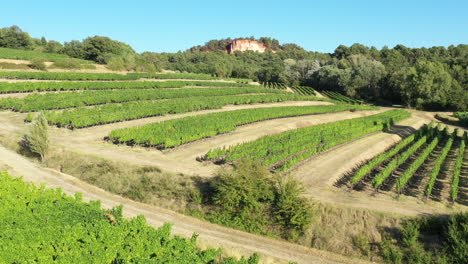 Luftaufnahme-Eines-Sonnigen-Tages-über-Weinbergen,-Feldern-Und-Ockersteinbrüchen-Im-Dorf-Roussillon