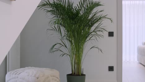 a peaceful corner of a modern home with a lush potted palm and a cozy knitted pouf, set against the clean lines of a light interior, evoking a sense of tranquility and natural beauty