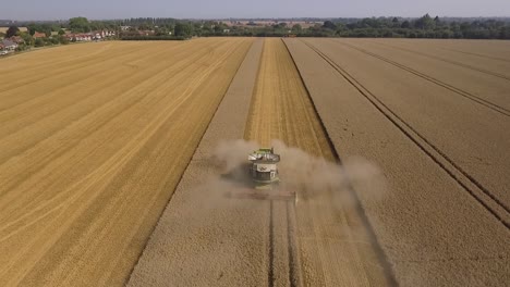 Ernte-Steigende-Neigung-Kamerafahrt-über-Claas-Mähdrescher-Mit-Erntestaub