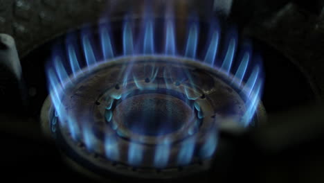 close-up of a gas stove burner with blue flames