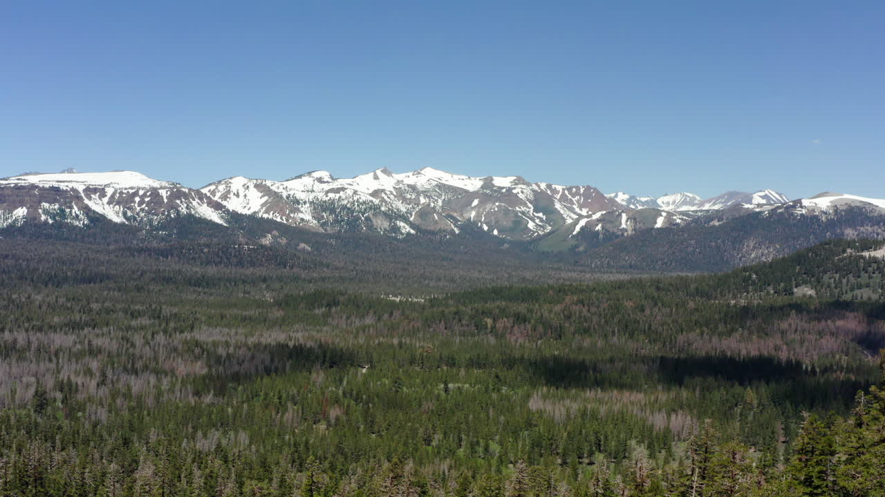 Le montagne innevate della Sierra Nevada si ergono sopra foreste lussureggianti sotto un cielo azzurro e limpido