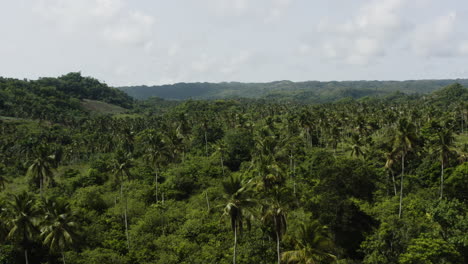 beautiful green tropical landscape of playa rincon in the dominican republic