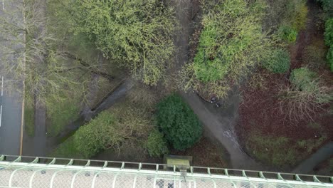 Toma-Aérea-De-Arriba-Hacia-Abajo-De-árboles-Cerca-De-Las-Calles-De-La-Bahía-De-Scarborough-Durante-La-Fría-Mañana-De-Invierno-En-Scarborough,-Inglaterra