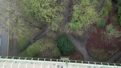 aerial top down shot of trees near streets of scarborough bay during cold winter morning in scarborough, england