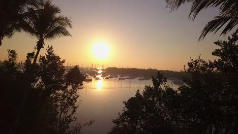 Aerial-fly-through-palm-trees-towards-boat-filled-harbor-and-sunrise