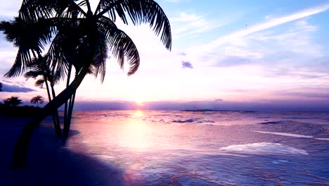 beautiful sunset over the endless evening ocean. blue sky, yellow sun, palm trees, endless sea and seascape. in summer, an amazing sunset on the sea coast. looping animation.