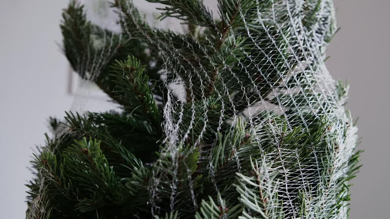 Nærbilde av et juletre med nettet allerede halvveis åpnet, mens en hånd forsiktig kutter de gjenværende trådene med en tapetkniv. Et rolig, presist øyeblikk av juleforberedelser.