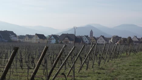 Viñedo-En-Las-Afueras-Del-Pueblo-Francés,-Kaysersberg.-Fondo-De-Paisaje-De-Montaña