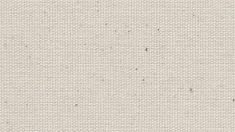 seamless loopable linen canvas background