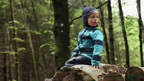 El-Niño-Se-Sienta-En-Un-Tronco-En-El-Bosque-Y-Luego-Se-Da-La-Vuelta-Para-Mirar-Por-Encima-Del-Hombro